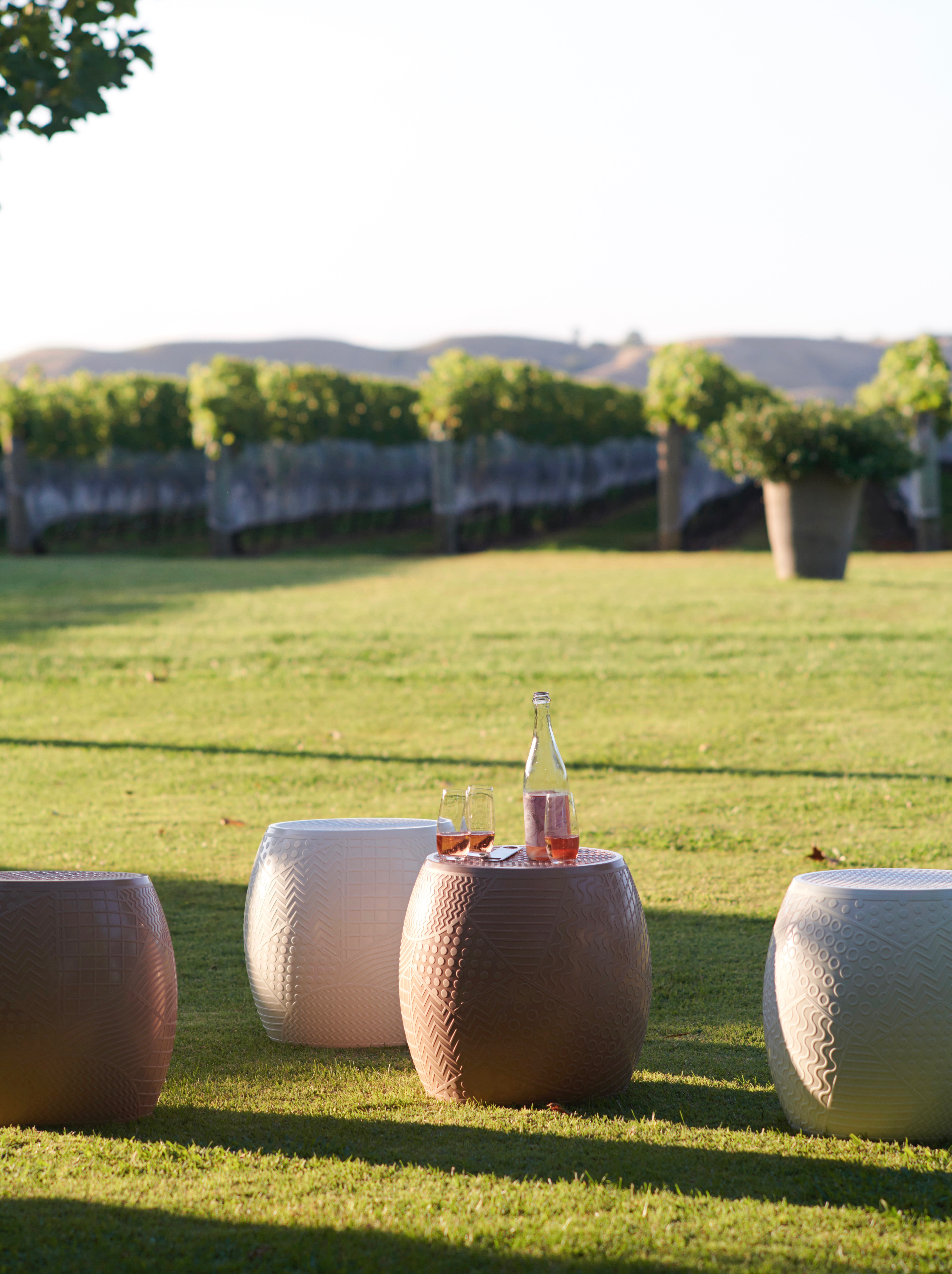 Alpha Domus photos for sale 10